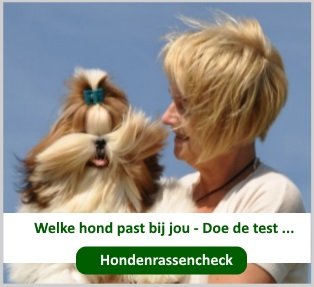 welke hond past bij mij